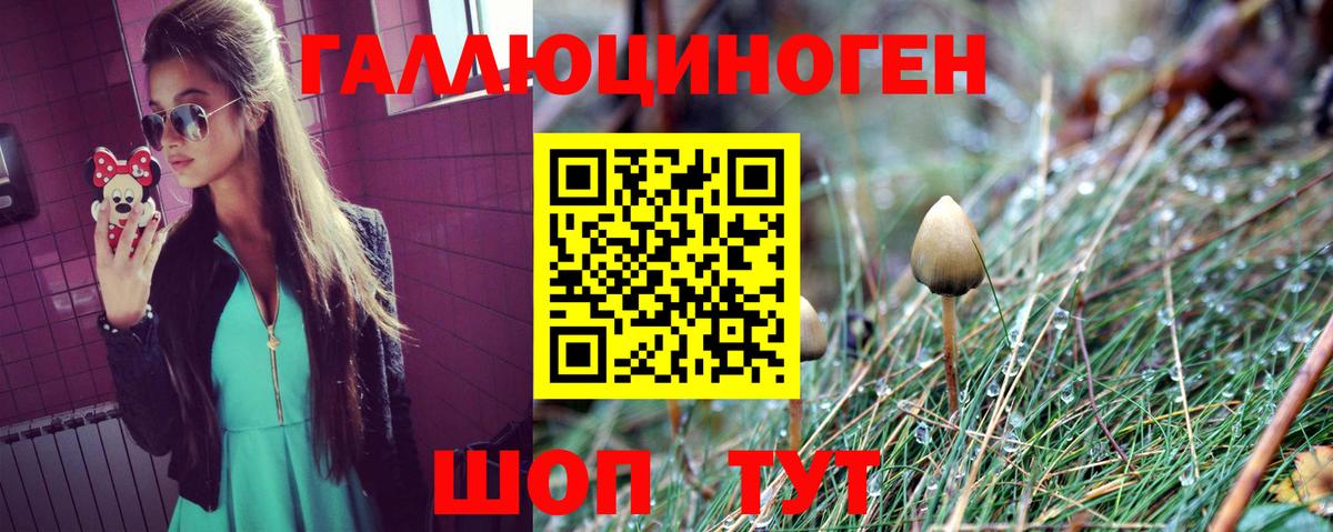 Галлюциногенные грибы прущие грибы  Вход с VPN  даркнет сайт  Дагестанские Огни 